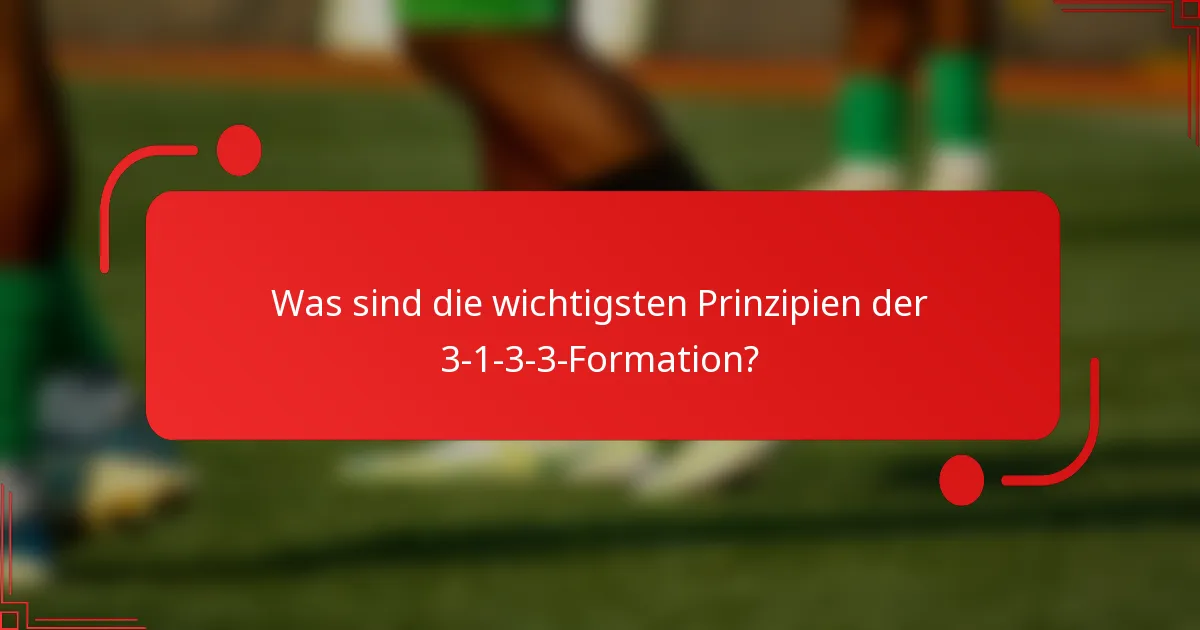 Was sind die wichtigsten Prinzipien der 3-1-3-3-Formation?
