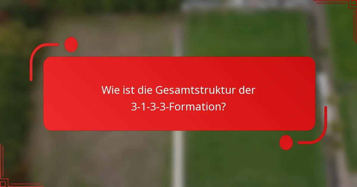 Wie ist die Gesamtstruktur der 3-1-3-3-Formation?